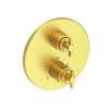 Newport Brass Tolmin(R): 1/2" Round Thermostatic Trim Plate with Handle