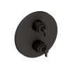 Newport Brass Tolmin(R): 1/2" Round Thermostatic Trim Plate with Handle