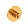 Newport Brass Tolmin(R): 3/4" Round Thermostatic Trim Plate with Handle