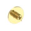 Newport Brass Tolmin(R): 3/4" Round Thermostatic Trim Plate with Handle