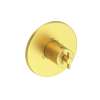 Newport Brass Tolmin(R): 3/4" Round Thermostatic Trim Plate with Handle