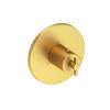 Newport Brass Tolmin(R): 3/4" Round Thermostatic Trim Plate with Handle