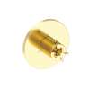 Newport Brass Tolmin(R): 3/4" Round Thermostatic Trim Plate with Handle