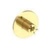 Newport Brass Tolmin(R): 3/4" Round Thermostatic Trim Plate with Handle