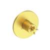 Newport Brass Tolmin(R): 3/4" Round Thermostatic Trim Plate with Handle