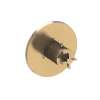 Newport Brass Tolmin(R): 3/4" Round Thermostatic Trim Plate with Handle