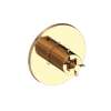 Newport Brass Tolmin(R): 3/4" Round Thermostatic Trim Plate with Handle