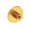 Newport Brass Tolmin(R): 3/4" Round Thermostatic Trim Plate with Handle