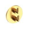 Newport Brass Kimbell: 1/2" Round Thermostatic Trim Plate with Handle