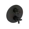 Newport Brass Kimbell: 1/2" Round Thermostatic Trim Plate with Handle
