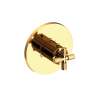 Newport Brass Kimbell: 3/4" Round Thermostatic Trim Plate with Handle