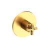 Newport Brass Kimbell: 3/4" Round Thermostatic Trim Plate with Handle