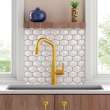Newport Brass Muncy: Pull-Down Kitchen Faucet