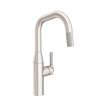 Newport Brass Muncy: Pull-Down Kitchen Faucet