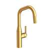 Newport Brass Muncy: Pull-Down Kitchen Faucet