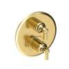 Newport Brass Astor(R): 1/2" Round Thermostatic Trim Plate with Handle