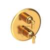 Newport Brass Astor(R): 1/2" Round Thermostatic Trim Plate with Handle
