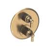 Newport Brass Astor(R): 1/2" Round Thermostatic Trim Plate with Handle