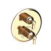 Newport Brass Astor(R): 1/2" Round Thermostatic Trim Plate with Handle