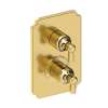 Newport Brass Astor(R): 1/2" Square Thermostatic Trim Plate with Handle