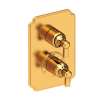 Newport Brass Astor(R): 1/2" Square Thermostatic Trim Plate with Handle
