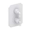 Newport Brass Astor(R): 1/2" Square Thermostatic Trim Plate with Handle