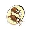 Newport Brass Astor(R): 1/2" Round Thermostatic Trim Plate with Handle