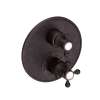 Newport Brass Astor(R): 1/2" Round Thermostatic Trim Plate with Handle
