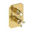 Newport Brass Astor(R): 1/2" Square Thermostatic Trim Plate with Handle