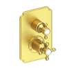 Newport Brass Astor(R): 1/2" Square Thermostatic Trim Plate with Handle