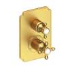 Newport Brass Astor(R): 1/2" Square Thermostatic Trim Plate with Handle