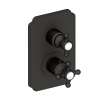 Newport Brass Astor(R): 1/2" Square Thermostatic Trim Plate with Handle