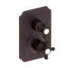 Newport Brass Astor(R): 1/2" Square Thermostatic Trim Plate with Handle
