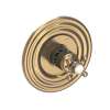 Newport Brass Astor(R): 3/4" Round Thermostatic Trim Plate with Handle
