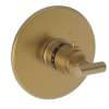 Newport Brass East Linear(R): 3/4" Round Thermostatic Trim Plate with Handle