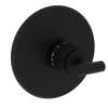 Newport Brass East Linear(R): 3/4" Round Thermostatic Trim Plate with Handle