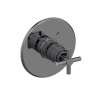 Newport Brass East Linear(R): 3/4" Round Thermostatic Trim Plate with Handle