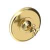 Newport Brass Aylesbury: Balanced Pressure Shower Trim Plate with Handle. Less showerhead, arm and flange.