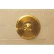 Newport Brass Aylesbury: Balanced Pressure Shower Trim Plate with Handle. Less showerhead, arm and flange.