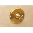 Newport Brass Aylesbury: Balanced Pressure Shower Trim Plate with Handle. Less showerhead, arm and flange.