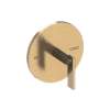Newport Brass Pavani: Balanced Pressure Shower Trim Plate with Handle. Less showerhead, arm and flange.