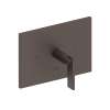 Newport Brass Secant(R): Balanced Pressure Shower Trim Plate with Handle. Less showerhead, arm and flange.
