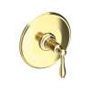 Newport Brass Ithaca(R): Balanced Pressure Shower Trim Plate with Handle. Less showerhead, arm and flange.