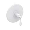 Newport Brass Ithaca(R): Balanced Pressure Shower Trim Plate with Handle. Less showerhead, arm and flange.