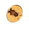 Newport Brass Dorrance(R): Balanced Pressure Shower Trim Plate with Handle. Less showerhead, arm and flange.