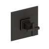 Newport Brass Malvina(R): Balanced Pressure Shower Trim Plate with Handle. Less showerhead, arm and flange.