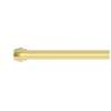 Newport Brass Brasstech: 3/8" x 20" Rigid Supply Tube, Bull nose