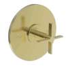 Newport Brass Tolmin(R): Balanced Pressure Shower Trim Plate with Handle. Less showerhead, arm and flange.