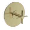 Newport Brass Tolmin(R): Balanced Pressure Shower Trim Plate with Handle. Less showerhead, arm and flange.