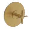 Newport Brass Tolmin(R): Balanced Pressure Shower Trim Plate with Handle. Less showerhead, arm and flange.